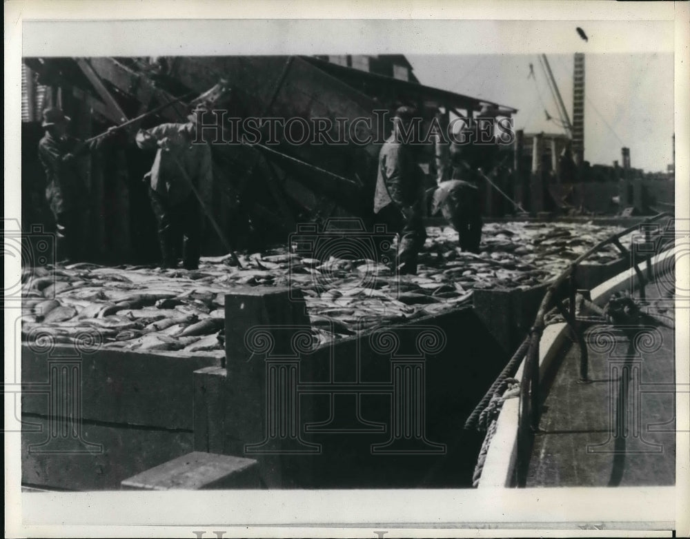 1938 Press Photo Salmon being processed at a fish house - nea98950 - Historic Images