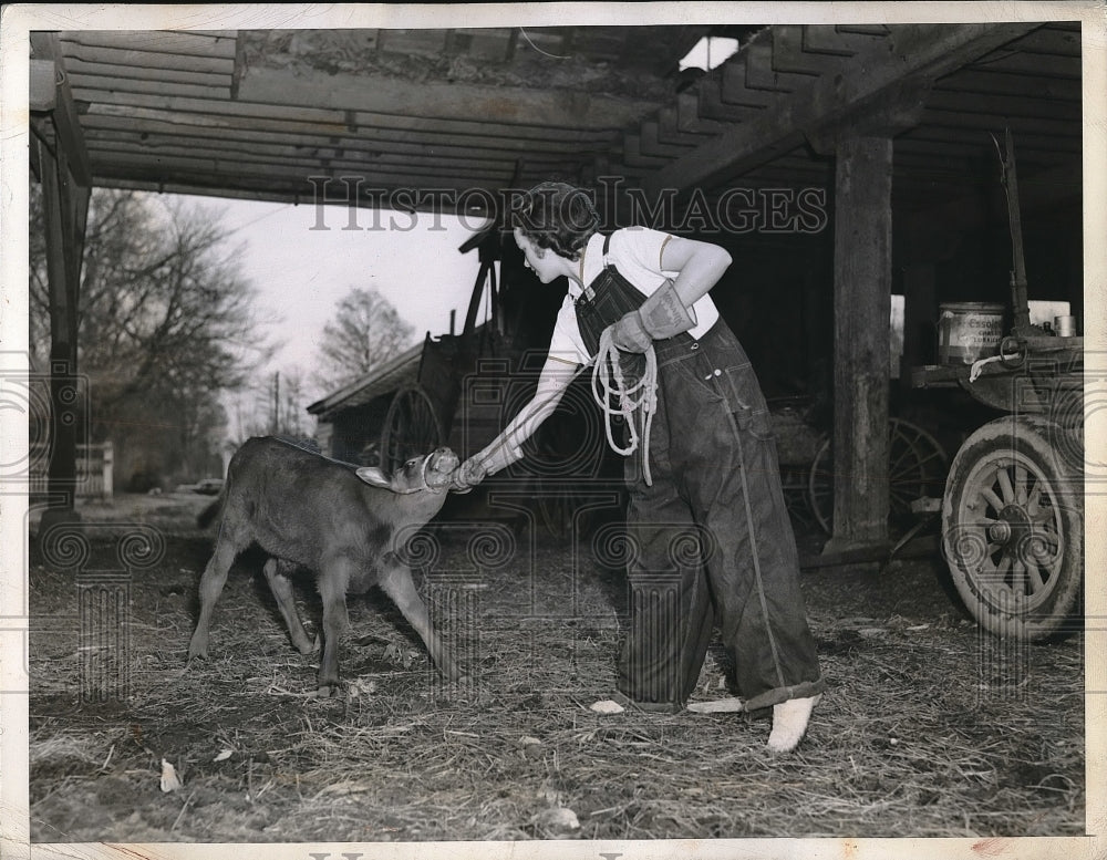 1942 Press Photo Mrs Woodrow White handling a calve in their farm - nea98959 - Historic Images