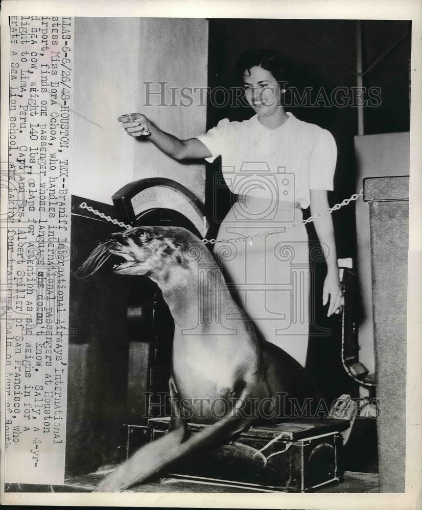 1948 Press Photo Lady Stands Behind Performing Seal - Historic Images
