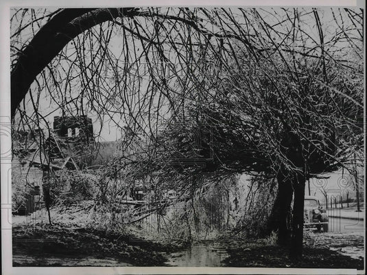 1937 Press Photo Oklahoma City, Oklahoma, Trees Covered With Sleet - Historic Images