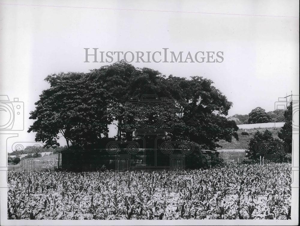 1961 The President's Cemetery close to Route 22 near Lancaster Ohio - Historic Images