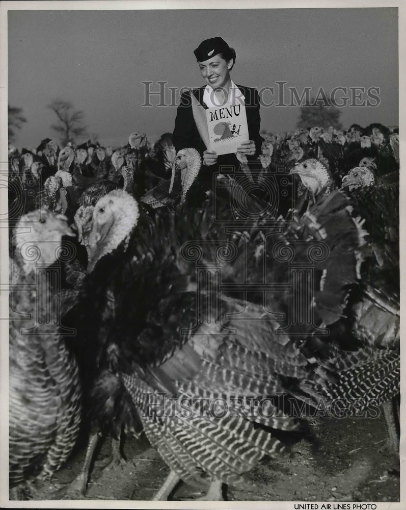 1954 Press Photo United Airlines stewardess Donna Brown posing with turkeys - Historic Images