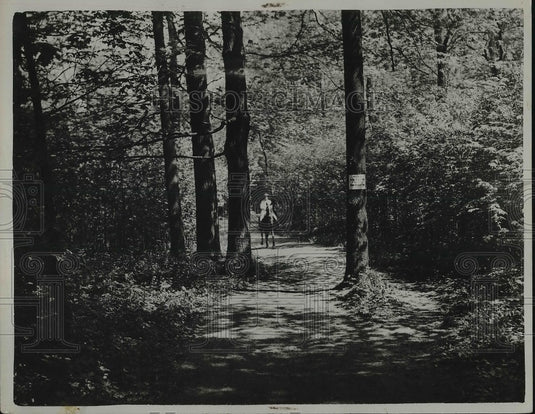 1930 View Of Horse & Rider Riding In Forest - Historic Images