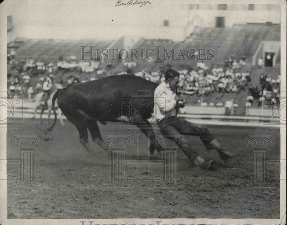 1928 Press Photo Running Steer During Rodeo - Historic Images