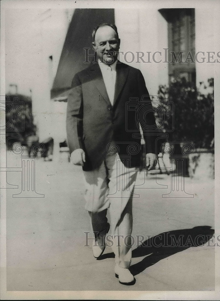 1933 Press Photo HG Runner Chairman of the Democratic party in Ohio - Historic Images