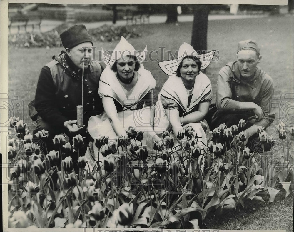 1933 Press Photo Tulip time in Holland Festival of flowers-Historic Images