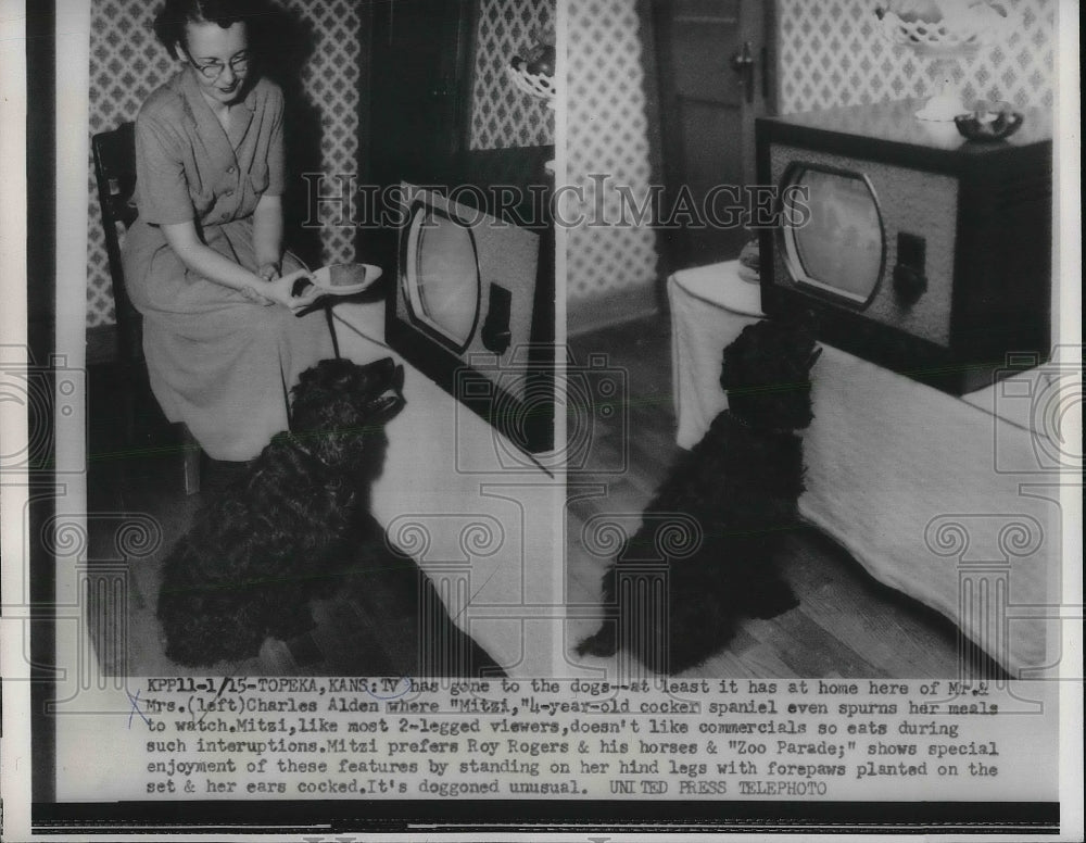 1955 Press Photo Mrs les Alden &amp; her dogs watch TV at her home-Historic Images