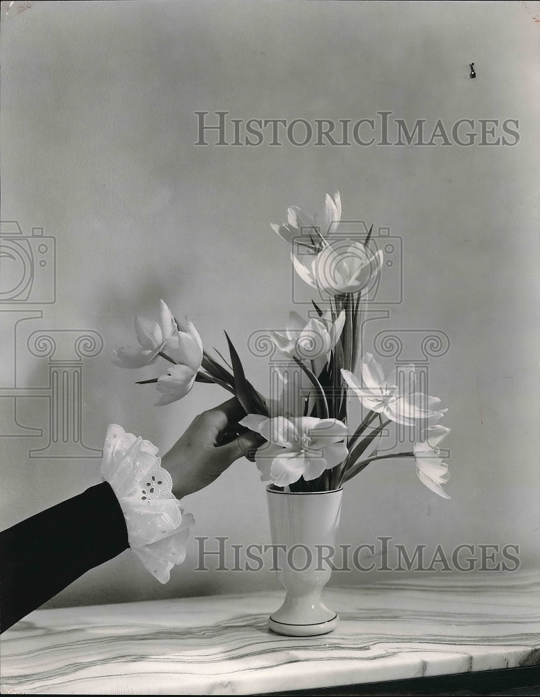 1958 Press Photo A vase of Tulips - neb04255 - Historic Images