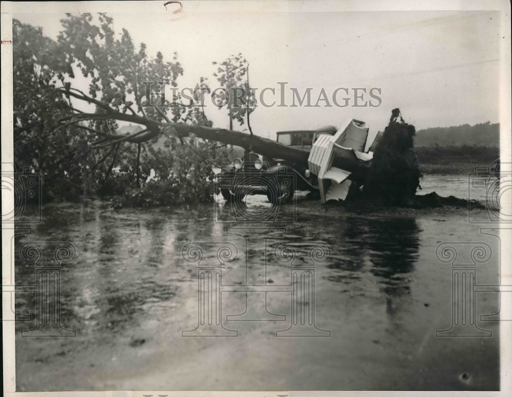 1938 Press Photo Car Crushed by Uprooted Tree Gale Force Winds in Long Island - Historic Images