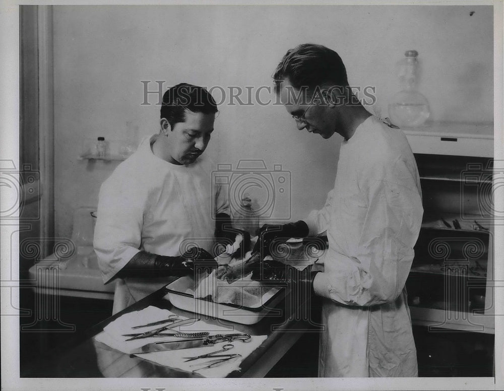 1935 Press Photo Dr. Gerwe &amp; his assistant, F. Nielson dissect the spinal cord-Historic Images