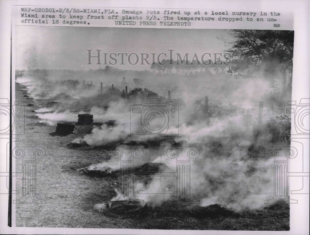 1958 Press Photo Smudge Pots fired up at a local nursery in the Miami Area - Historic Images