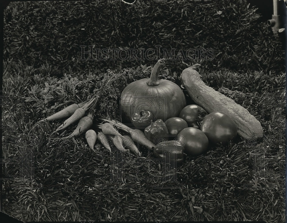 1928 Press Photo Pile of Vegetable - Historic Images