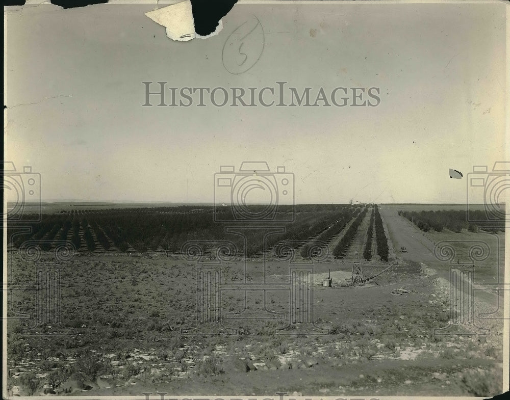1928 Press Photo Constructing water irrigation. - Historic Images
