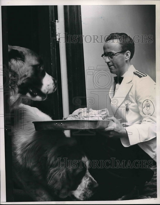 1951 Nicollet Hotel in Minn.allowed dogs and receive special service - Historic Images