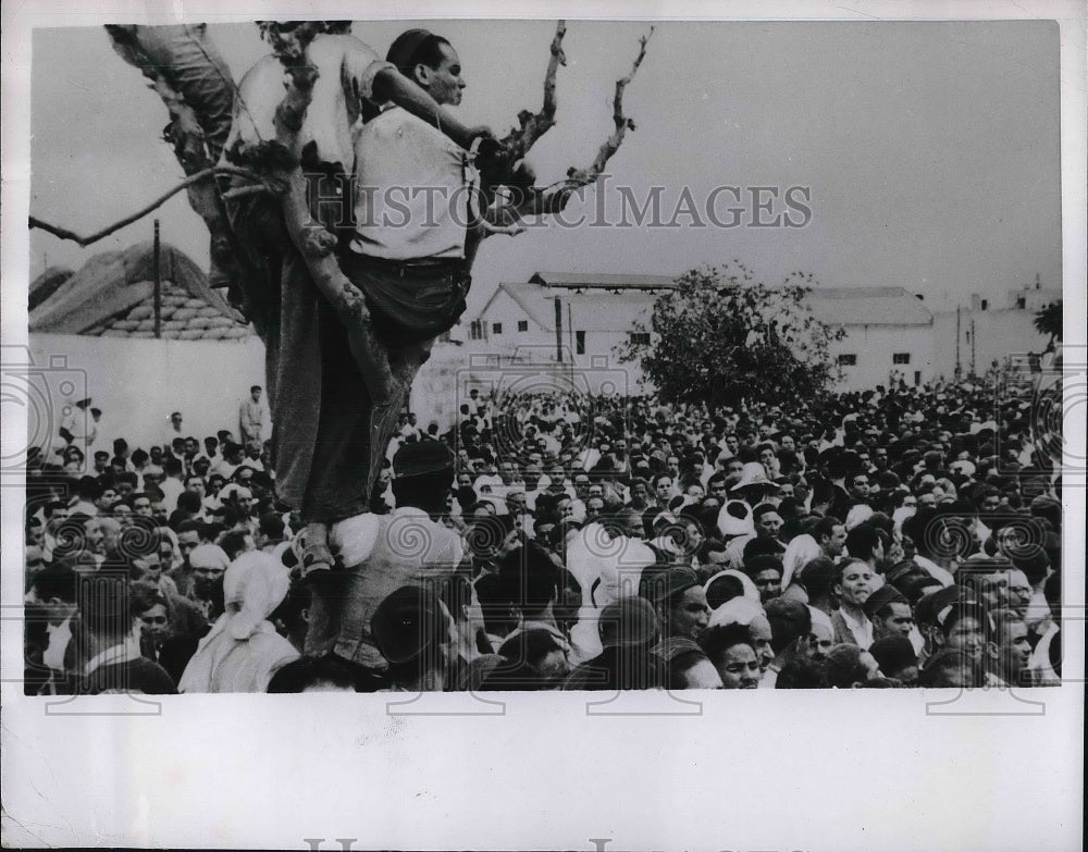 1951 Press Photo French North Africa Tunis Independence - Historic Images