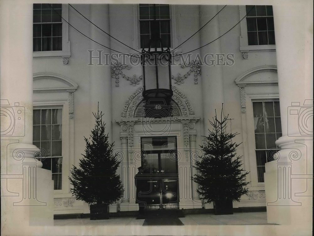 1936 Press Photo Christmas Trees for White House Front Entrance Washington, D.C. - Historic Images