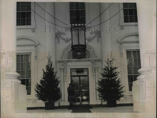 1936 Press Photo Christmas Trees for White House Front Entrance Washington, D.C. - Historic Images