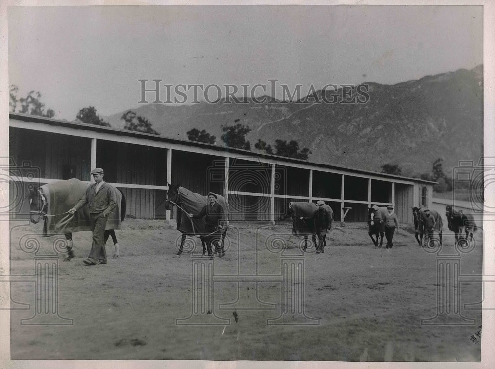 1936 Singing Wood, Miss Merriment, after Santa Anita Track workout-Historic Images