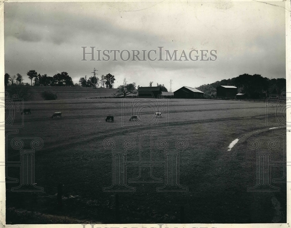 1932 Press Photo Terraces Helping Fields Retain Rainfall In East Tennessee - Historic Images