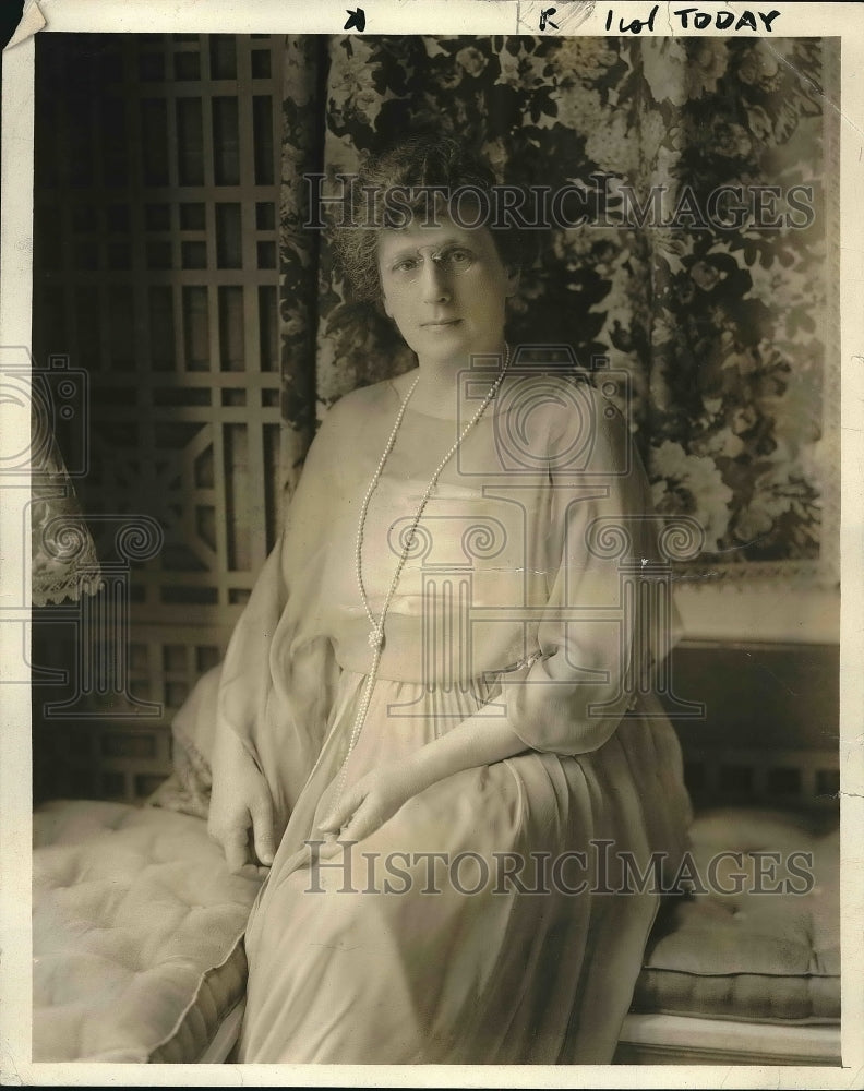 1920 Press Photo Mrs Julius Rosenwald - Historic Images
