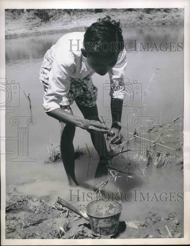 1956 Anti-Malaria Worker Collects Mosquito Larvae From Pon in Burma - Historic Images