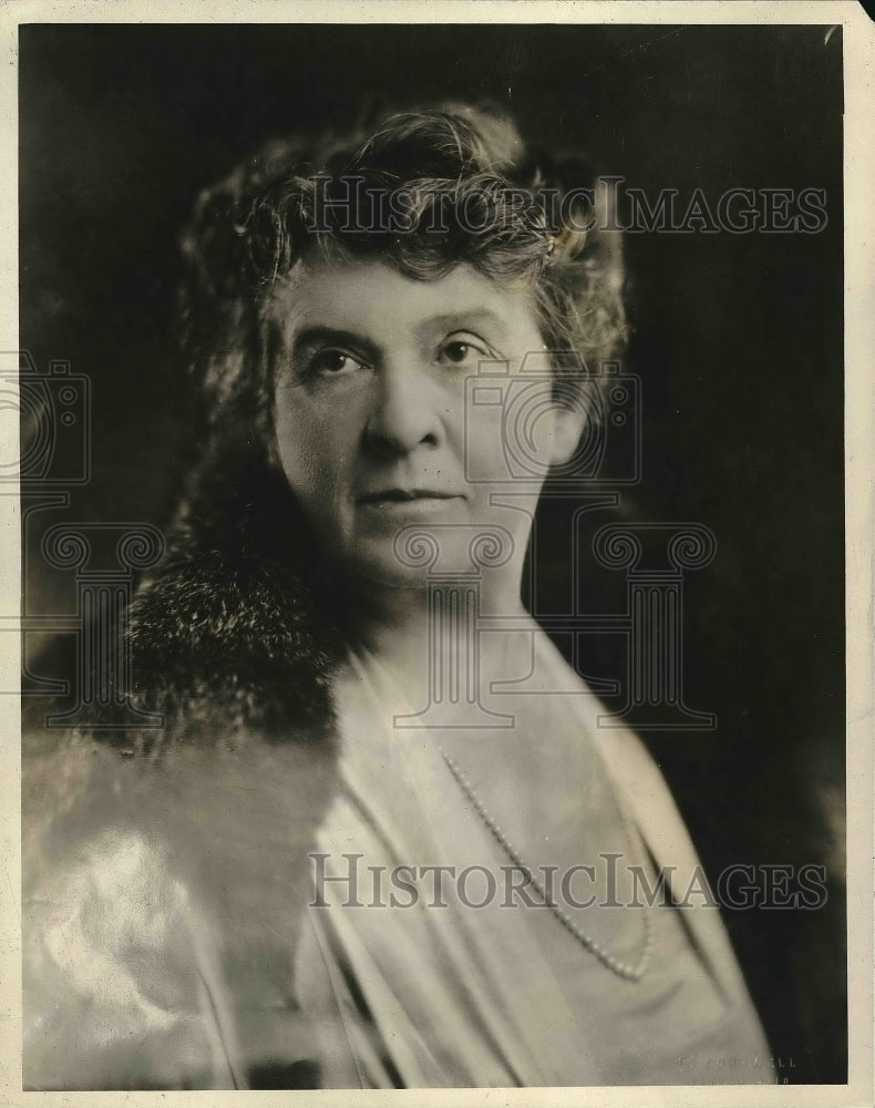 1926 Press Photo Mrs H.E. Talbot of Dayton, Ohio - Historic Images