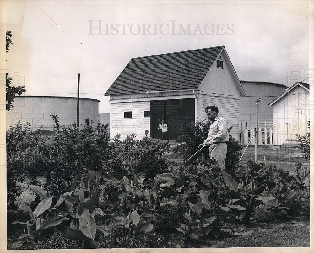 1930 Caretaker Harrison doing some gardening - Historic Images