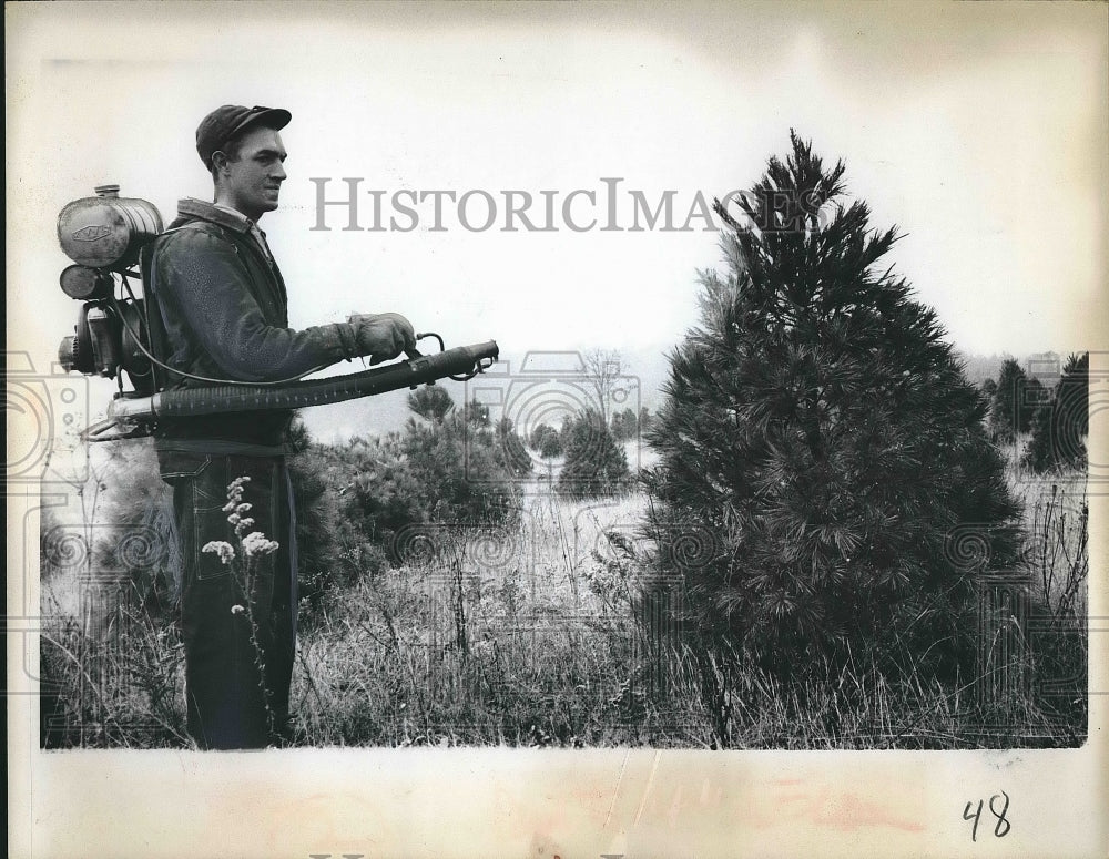 1962 Press Photo Harland Schulke Waupaca Wisconsin Almond Town Christmas Tree - Historic Images