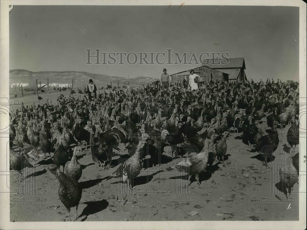 1931 Press Photo Mrs Brinkle at a chicken farm - neb11970 - Historic Images