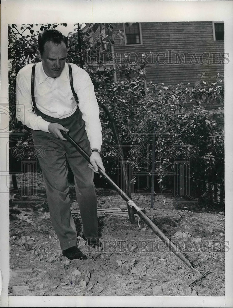 1946 Press Photo George Kriloff Works on Garden - Historic Images