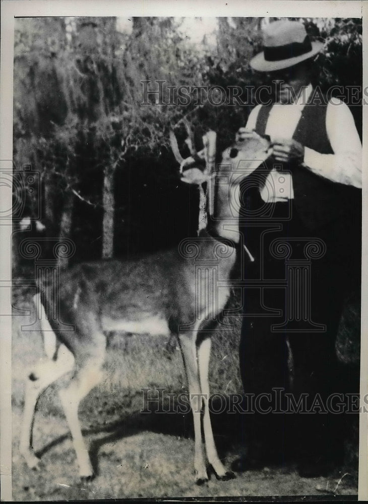 1938 Press Photo Oscar Kohleffel Ties Letters To Billy The Three Point Deer-Historic Images