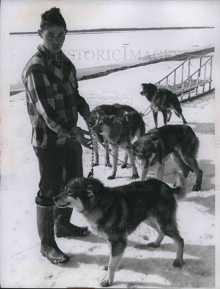 1969 Press Photo Man with Alaska Huskies - Historic Images