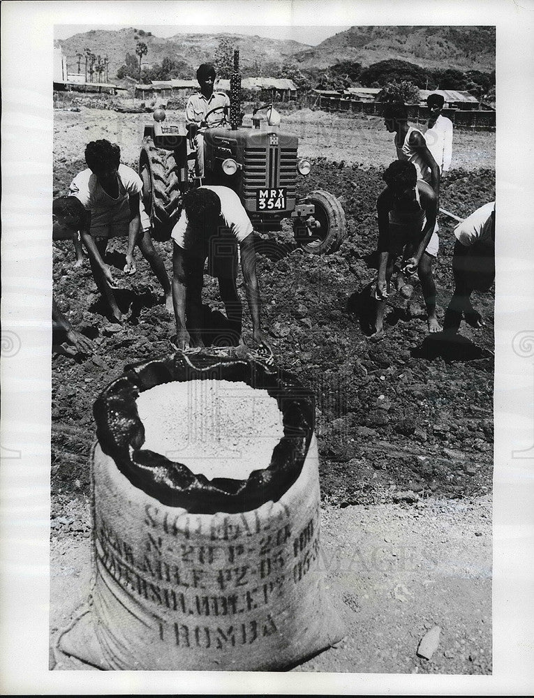 1969 Press Photo Farmers in Punjab Fertilized Fields - Historic Images