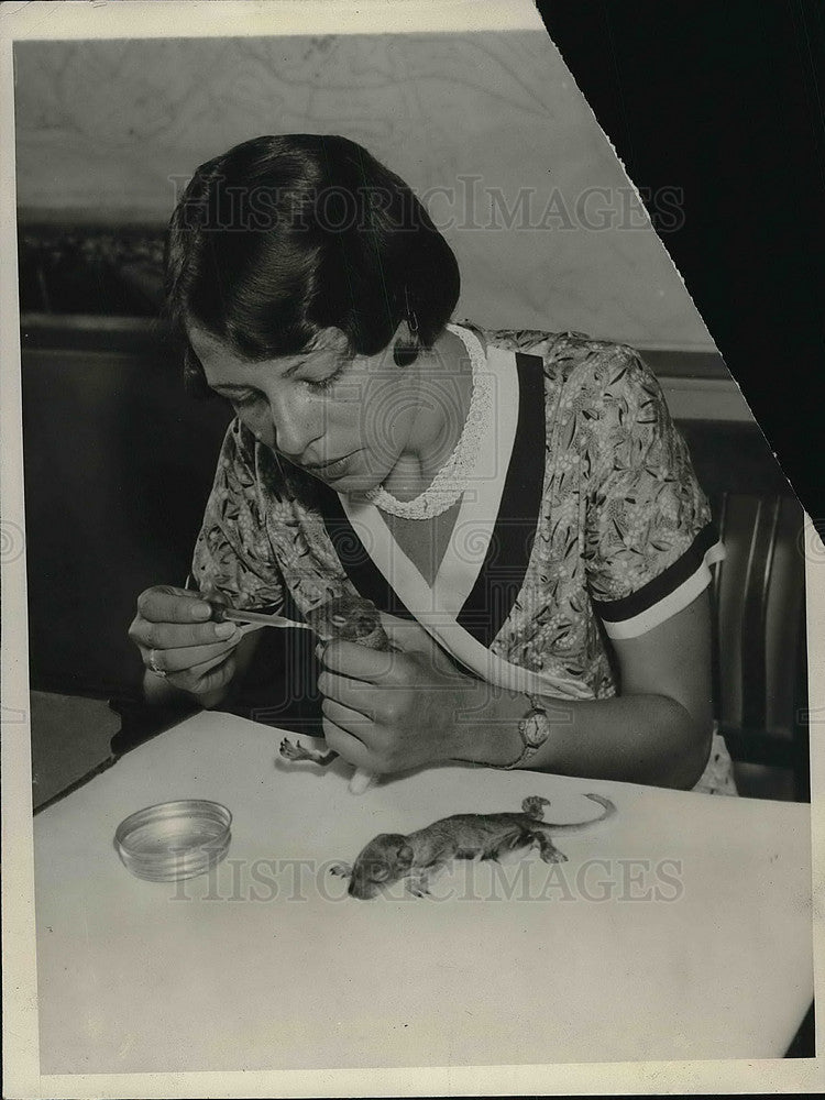 1932 Press Photo Frances Morris Feeds Milk To Baby Squirrels - Historic Images