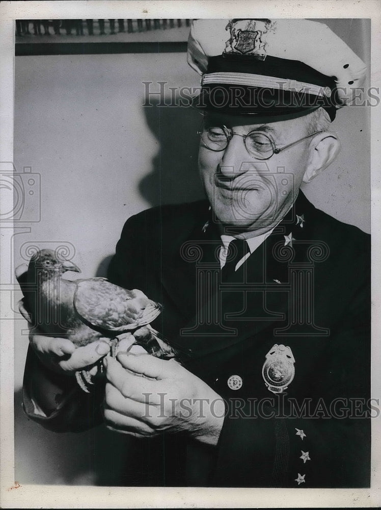 1945 Press Photo Police Capt. John Spoelstra Holding A Carrier Pigeon - Historic Images