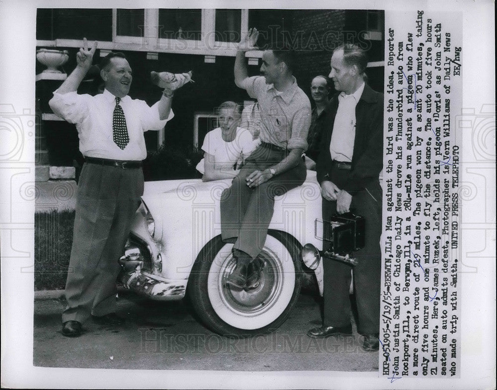 1955 Press Photo Berwyn, Ill John J Smith loses 219 mile race with pigeon - Historic Images