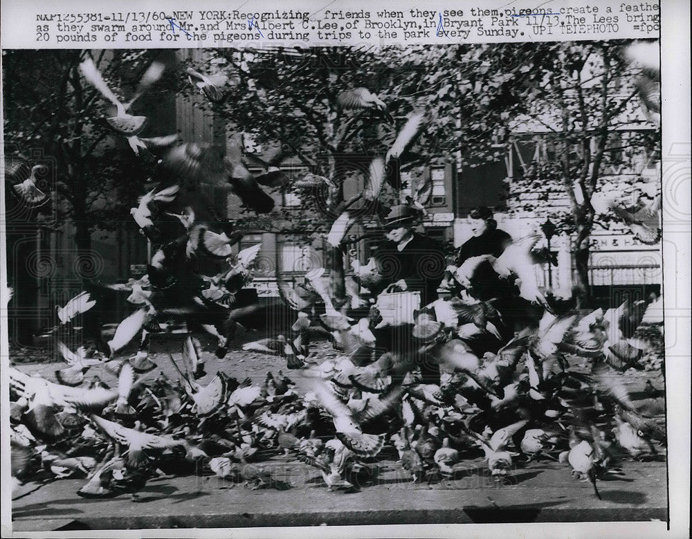 1960 Mr &amp; Mrs Albert Lee feeding pigeon flock in Bryant Park - Historic Images