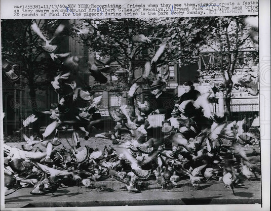 1960 Mr & Mrs Albert Lee feeding pigeon flock in Bryant Park - Historic Images
