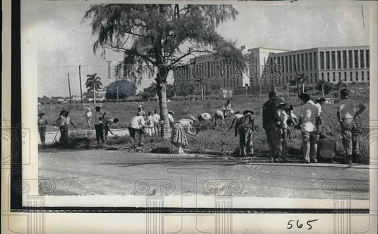 1962 Press Photo Citizens In Cuba Clearing Land IN Havana For Food Supply - Historic Images