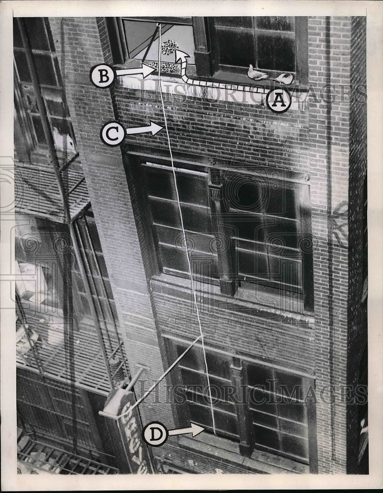 1945 Press Photo Philadelphia Pigeon Trap Rigged on fourth floor of building - Historic Images