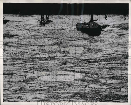 1953 Press Photo "Landscaped Wire" actually cross section of GE wire magnified - Historic Images