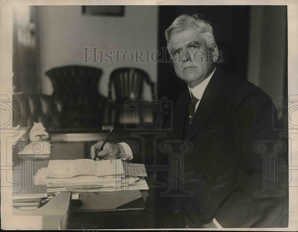 1923 Georege S. Rice, Chief Mining Engineer of Bureau of Mines - Historic Images