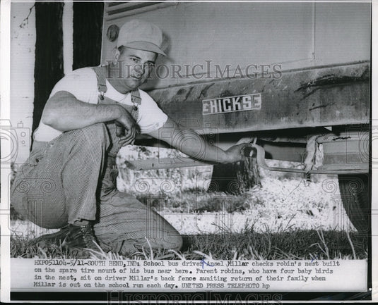 1955 Press Photo South Bend, Ind bus driver Ansel Millar & bird nest on his bus-Historic Images