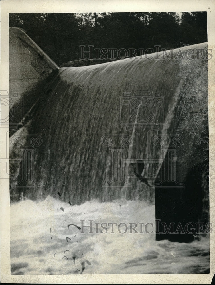 1929 Press Photo A salmon migrating up river-Historic Images