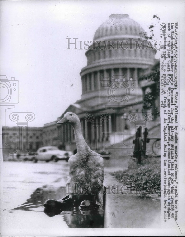 1957 Press Photo Washington Rain at Capitol - Historic Images