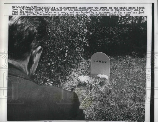 1958 Press Photo Grave of Eisenhowers Grandchildren's Pet Bird Gabby - Historic Images