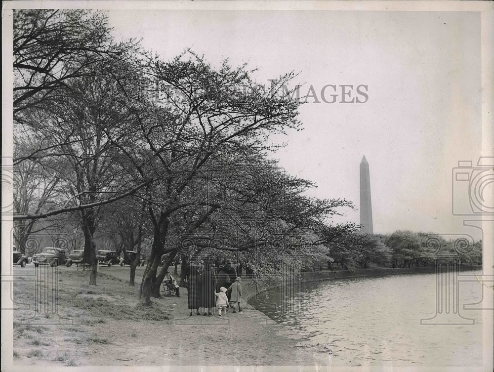 1937 Press Photo Tourists Photographers Gather At Cherry Blossoms U.S. Capitol-Historic Images