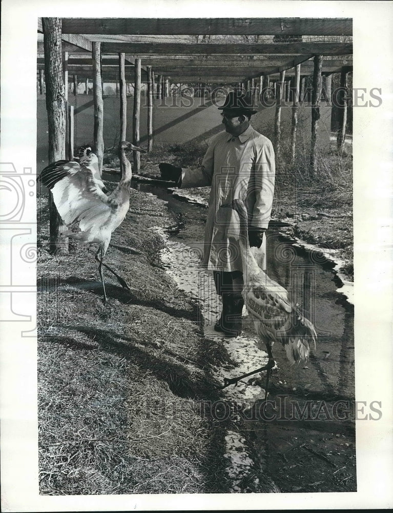 1969 Press Photo Crane at Patuxent Wildlife Research Center, Laurel, Maryland - Historic Images