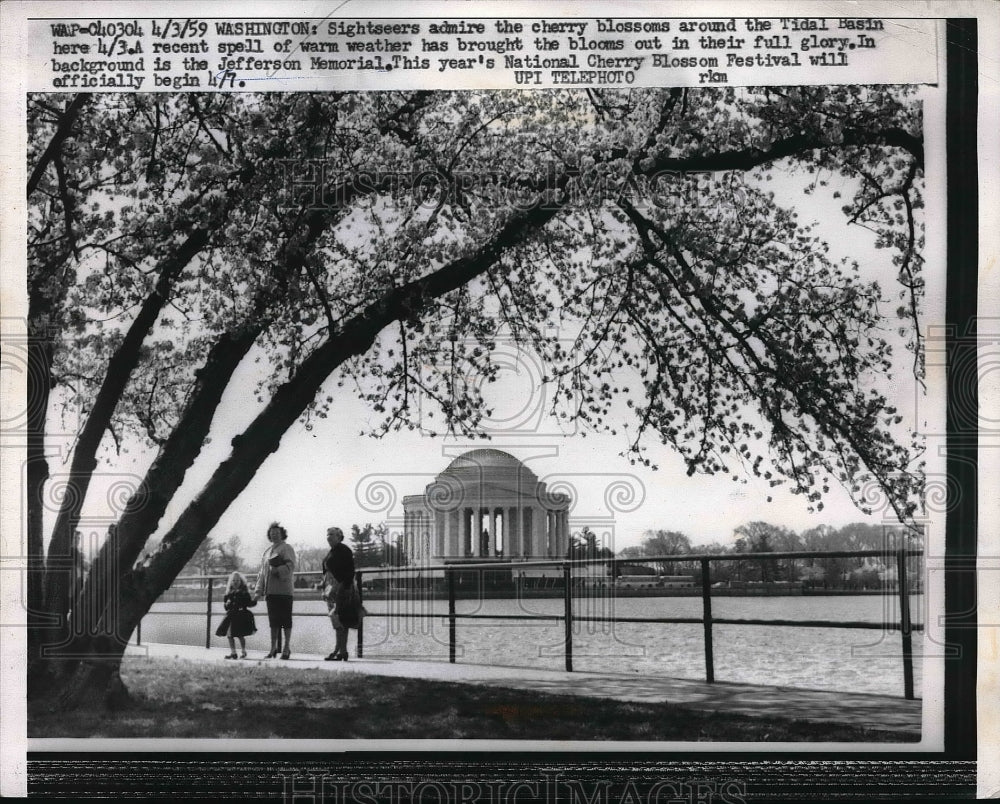 1959 Press Photo Cherry blossoms in front of the Jefferson Memorial - neb18220 - Historic Images