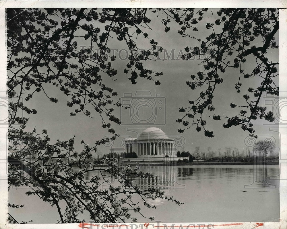 1943 Cherry Trees framing the Jefferson Memorial-Historic Images